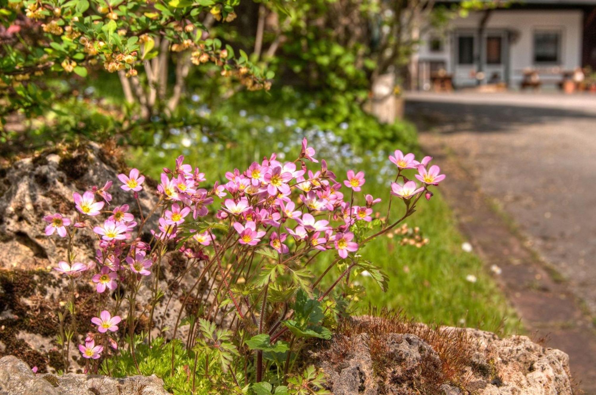 Ferienwohnungen Lindenhof วิลลิงเงิน ภายนอก รูปภาพ